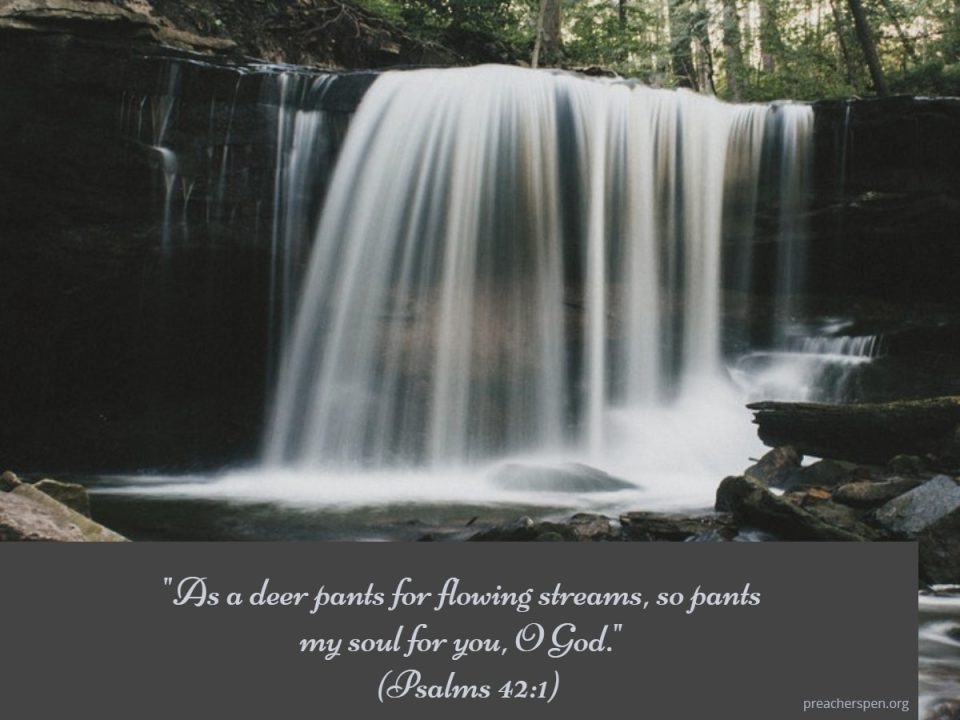 Psalm 41.1 – As the Deer (1) | The Preacher's Pen